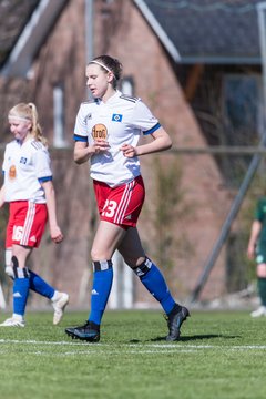 Bild 228 - wBJ Hamburger SV - WfL Wolfsburg : Ergebnis: 2:1